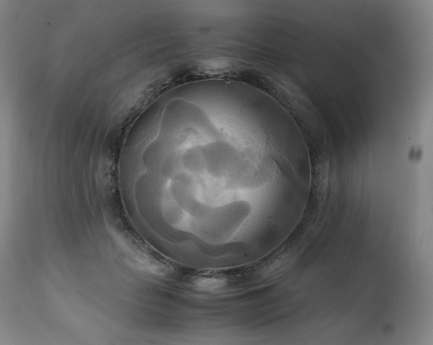 X0000111210653200907011445