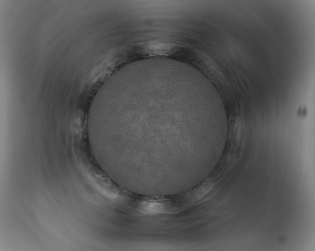 X0000111210655200907011445