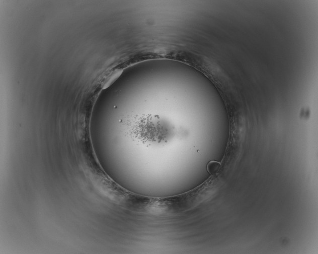 X0000111210656200907011445