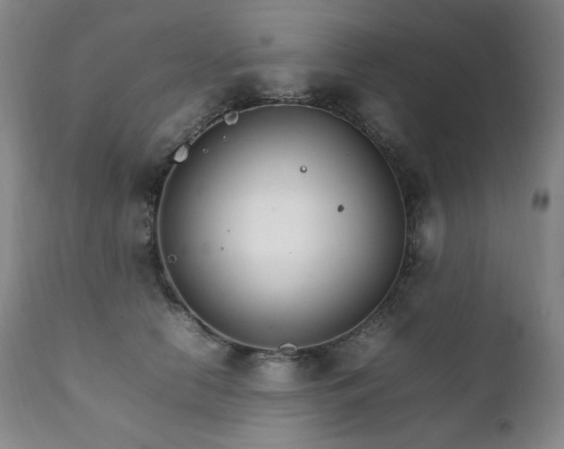 X0000111210658200907011445