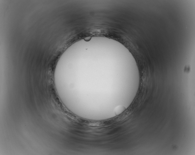 X0000111210659200907011445