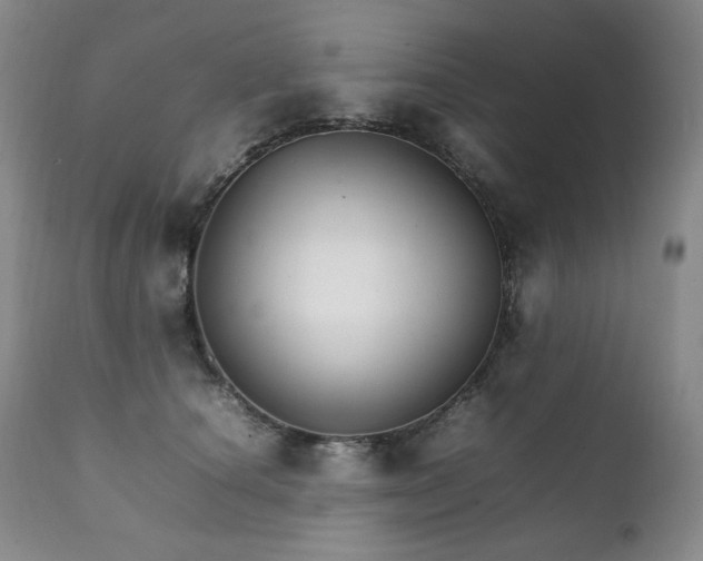 X0000111210660200907011445