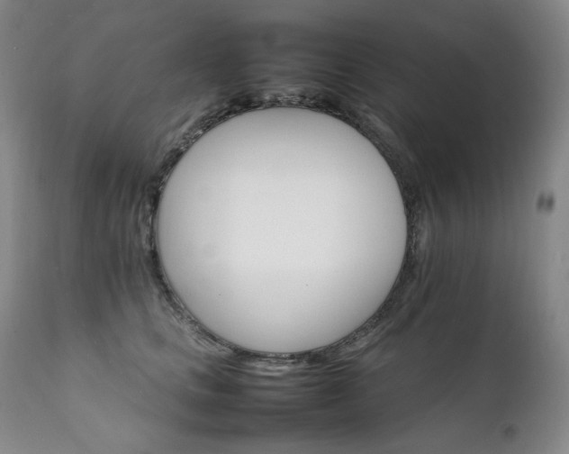 X0000111210661200907011445