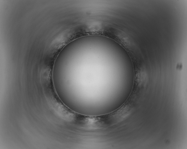 X0000111210662200907011445