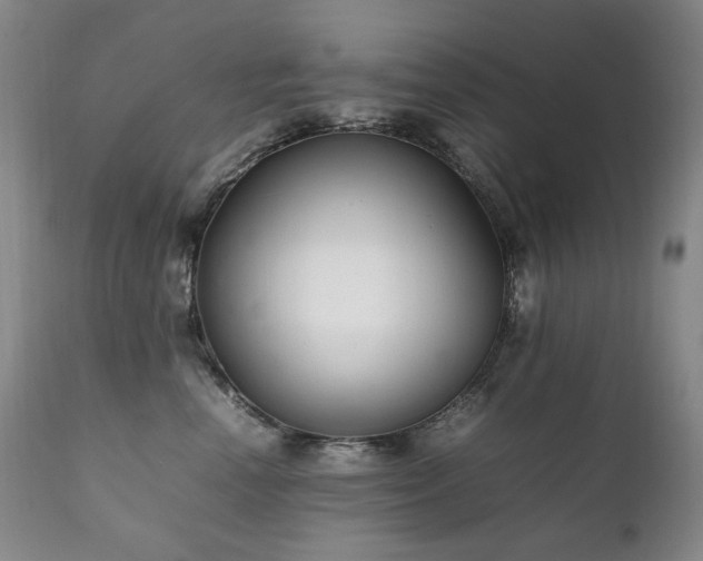 X0000111210666200907011445