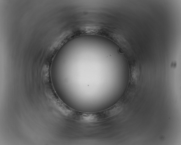 X0000111210667200907011445