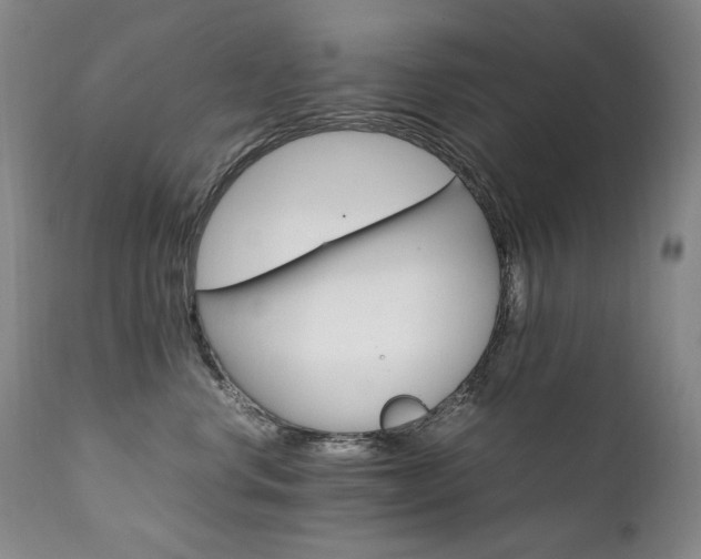 X0000111210668200907011445