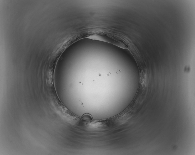 X0000111210669200907011445