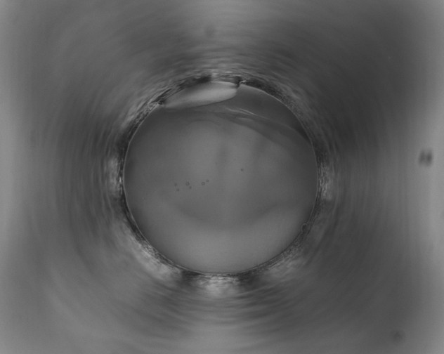 X0000111210670200907011445