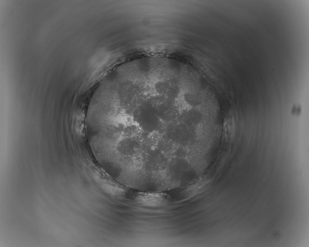 X0000111210671200907011445