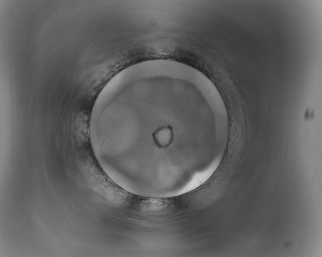 X0000111210672200907011445