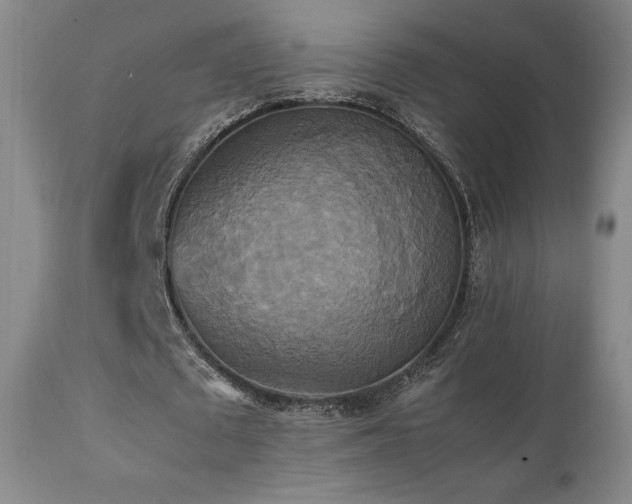 X0000111210673200907011444