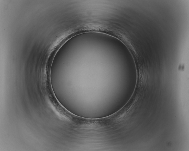 X0000111210674200907011444