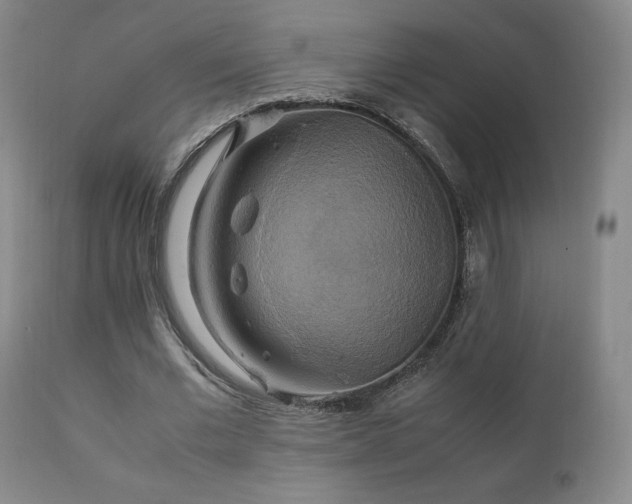 X0000111210677200907011444