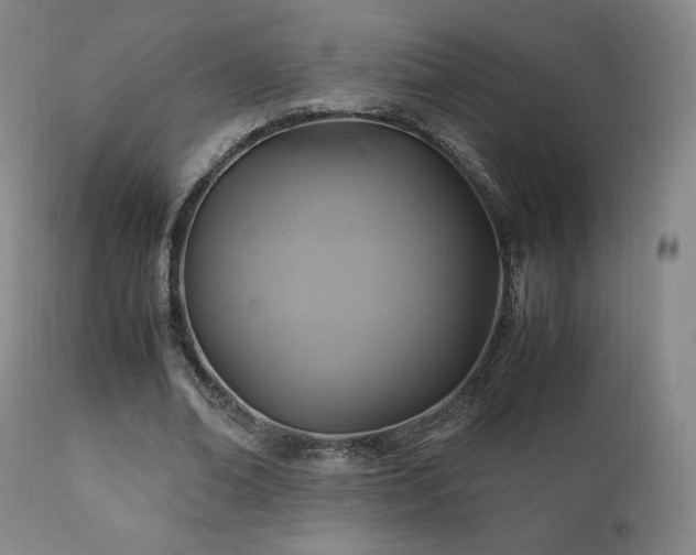 X0000111210678200907011444