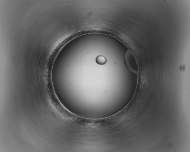 X0000111210680200907011444