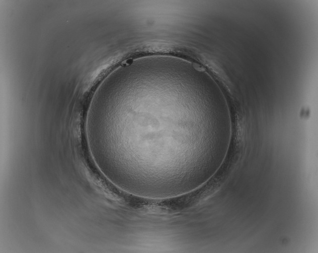 X0000111210681200907011444