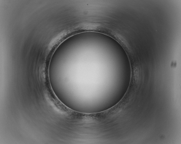 X0000111210682200907011444