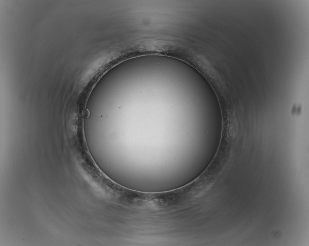 X0000111210683200907011444