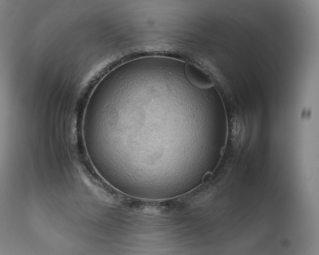 X0000111210684200907011444