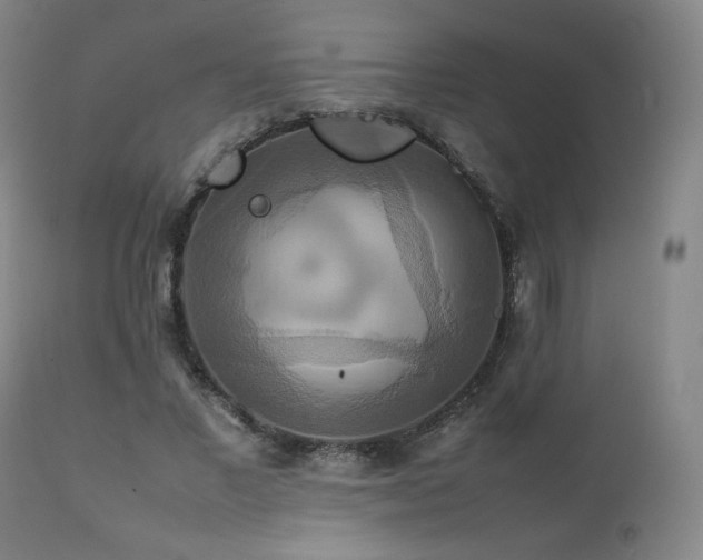 X0000111210685200907011444