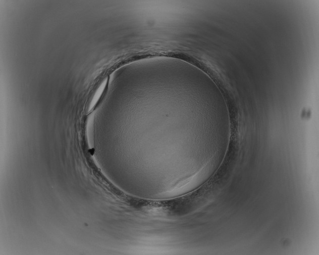 X0000111210689200907011444