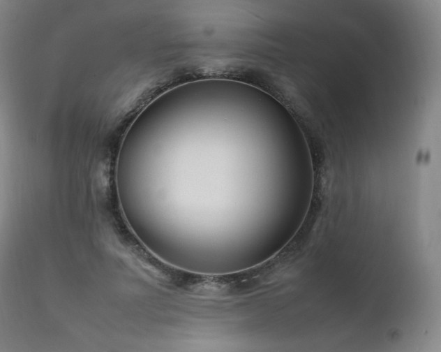 X0000111210691200907011444