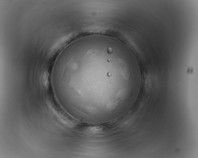 X0000111210692200907011444