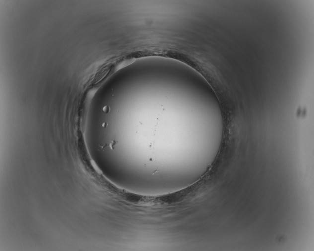 X0000111210693200907011444