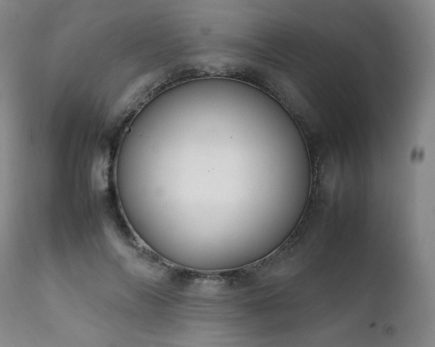 X0000111210694200907011444