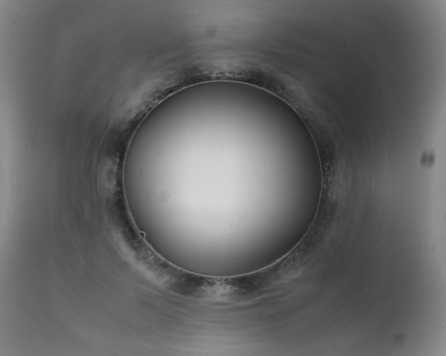 X0000111210695200907011444