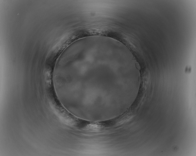 X0000111210699200907011444