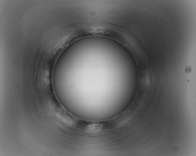 X0000111210700200907011444