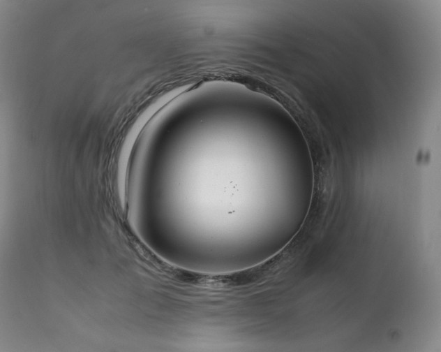 X0000111210701200907011444