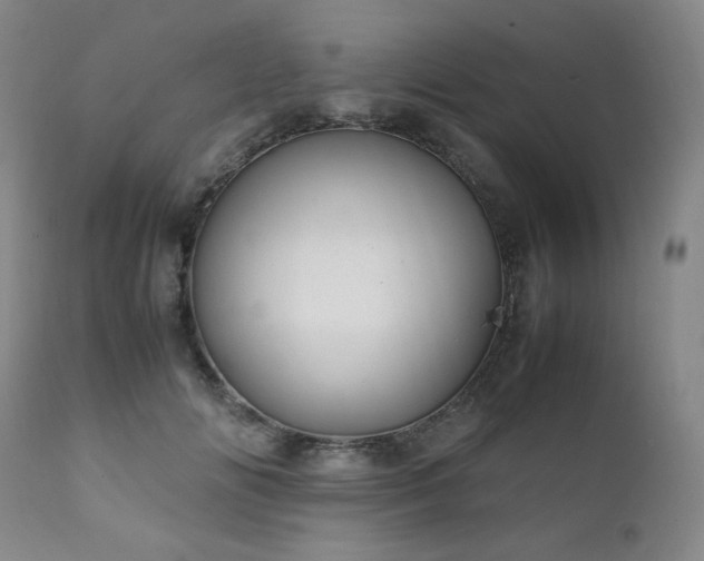 X0000111210702200907011444