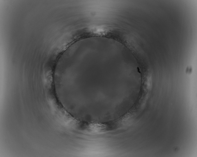 X0000111210707200907011444