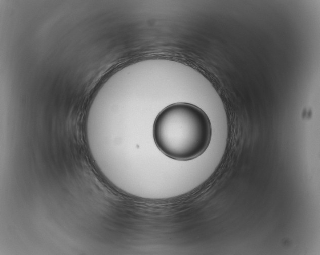 X0000111210708200907011444