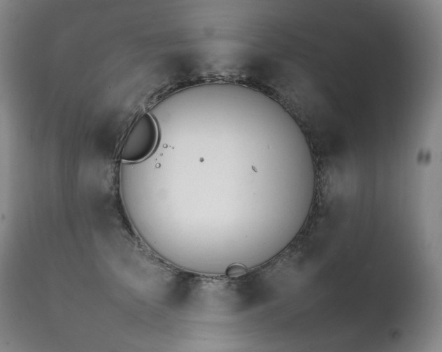 X0000111210709200907011444