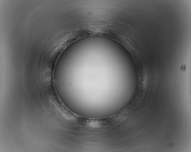 X0000111210710200907011444