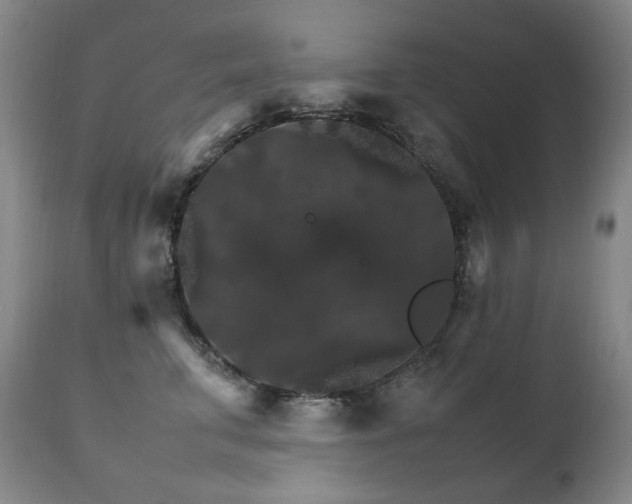 X0000111210711200907011444