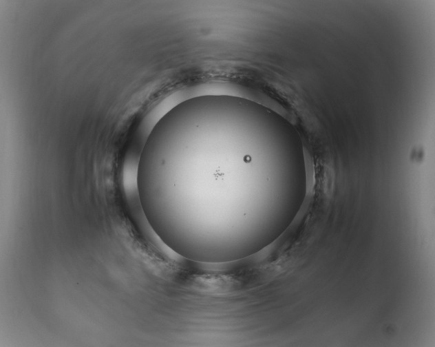 X0000111210712200907011444