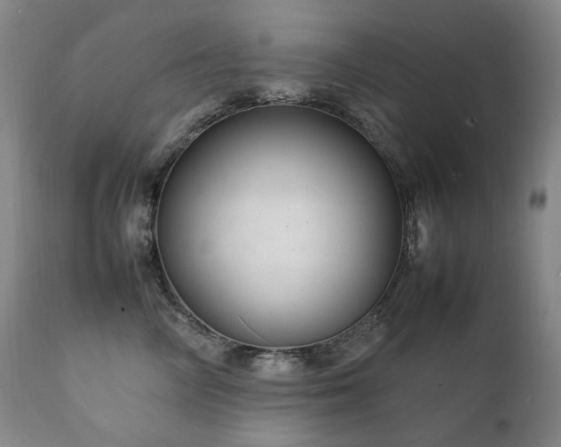 X0000111210714200907011444