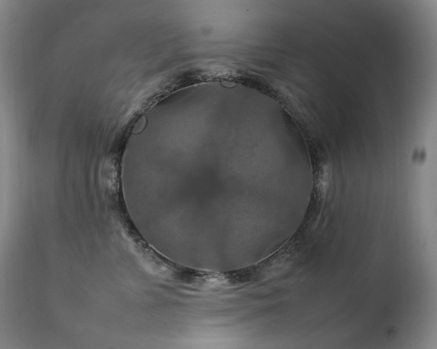 X0000111210715200907011443