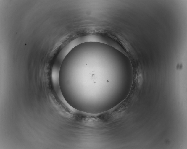 X0000111210716200907011443