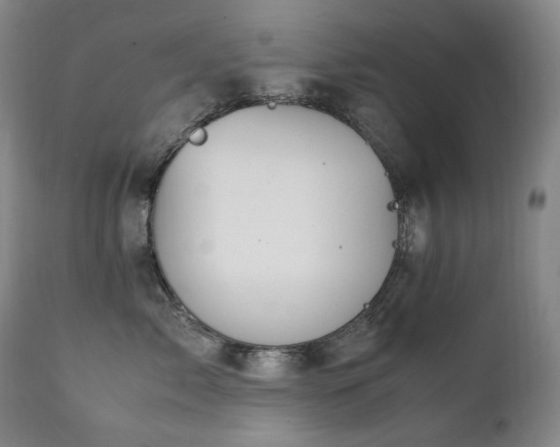 X0000111210717200907011443