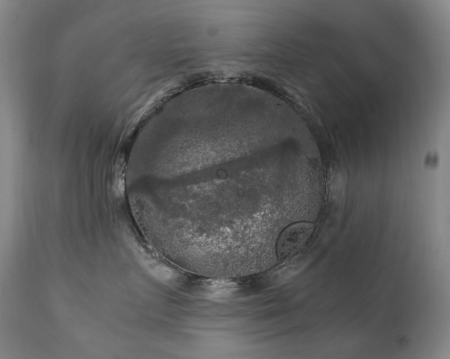 X0000111210719200907011443