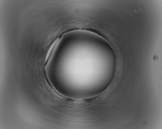 X0000111210720200907011443