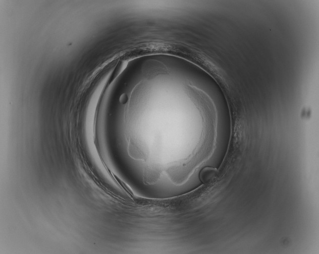 X0000111210722200907011443