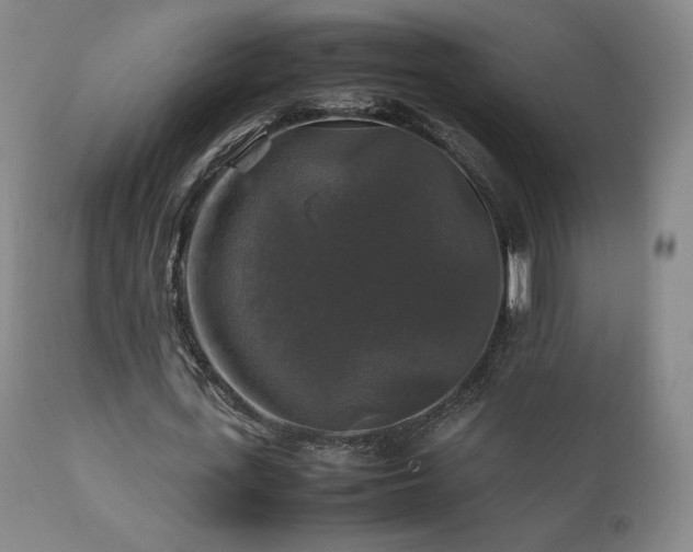 X0000111210723200907011443