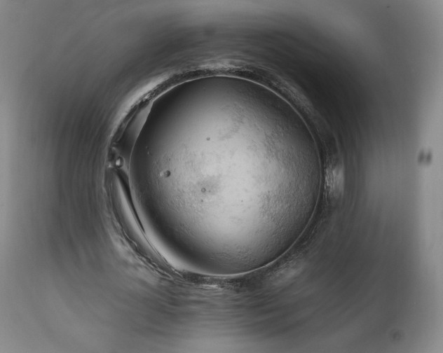 X0000111210724200907011443